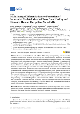 Multilineage Differentiation for Formation of Innervated Skeletal