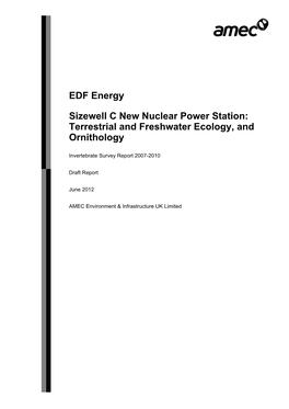 EDF Energy Sizewell C New Nuclear Power Station