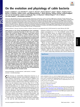 On the Evolution and Physiology of Cable Bacteria