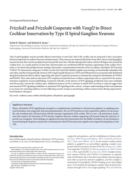 Frizzled3 and Frizzled6 Cooperate with Vangl2 to Direct Cochlear Innervation by Type II Spiral Ganglion Neurons
