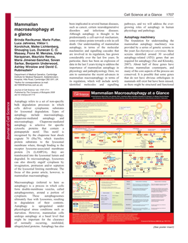 Mammalian Macroautophagy at a Glance