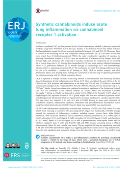 Synthetic Cannabinoids Induce Acute Lung Inflammation Via Cannabinoid Receptor 1 Activation