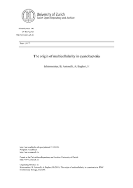 The Origin of Multicellularity in Cyanobacteria