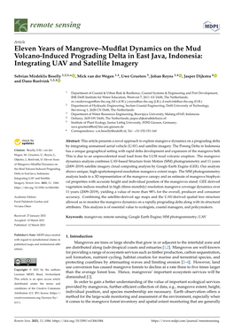 Eleven Years of Mangrove–Mudflat Dynamics on the Mud