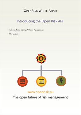 Introducing the Open Risk API