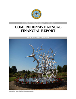 Comprehensive Annual Financial Report