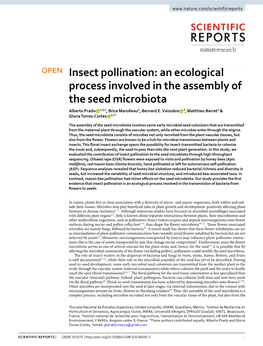 Insect Pollination: an Ecological Process Involved in the Assembly of the Seed Microbiota Alberto Prado 1,3,4, Brice Marolleau2, Bernard E