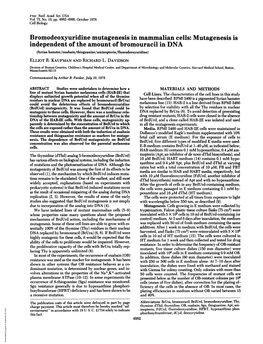 Mutagenesis Is Independent of the Amount of Bromouracil in DNA (Syrian Hamster/Ouabain/Thioguanine/Aminopterin/Fluorodeoxyuridine) ELLIOT R