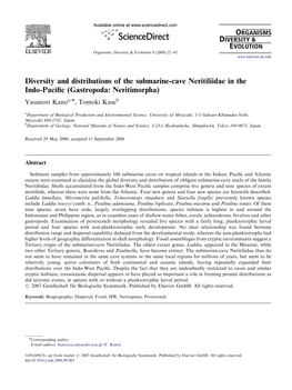 Diversity and Distributions of the Submarine-Cave Neritiliidae in The