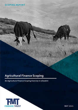 Agricultural Finance Scoping