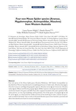 Araneae, Mygalomorphae, Actinopodidae, Missulena)