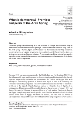 What Is Democracy? Promises and Perils of the Arab Spring