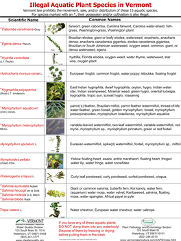 Illegal Aquatic Plant Species in Vermont Vermont Law Prohibits the Movement, Sale, And/Or Distribution of These 15 Aquatic Species