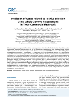 Prediction of Genes Related to Positive Selection Using Whole-Genome Resequencing in Three Commercial Pig Breeds