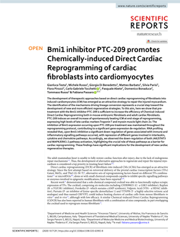 Bmi1 Inhibitor PTC-209 Promotes Chemically-Induced Direct Cardiac