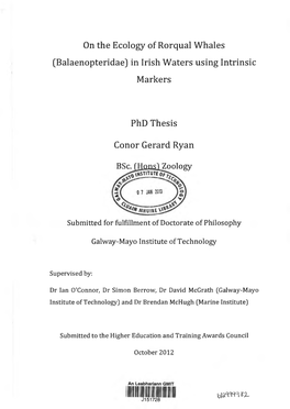 On the Ecology of Rorqual Whales (Balaenopteridae) in Irish Waters Using Intrinsic Markers