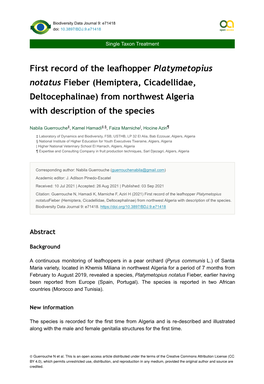 First Record of the Leafhopper Platymetopius Notatus Fieber (Hemiptera, Cicadellidae, Deltocephalinae) from Northwest Algeria with Description of the Species