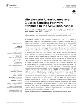 Mitochondrial Ultrastructure and Glucose Signaling Pathways Attributed to the Kv1.3 Ion Channel