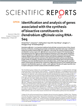 Identification and Analysis of Genes Associated with the Synthesis Of