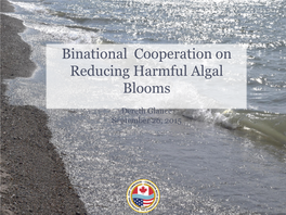 Binational Cooperation on Reducing Phosphorus Loadings and Harmful