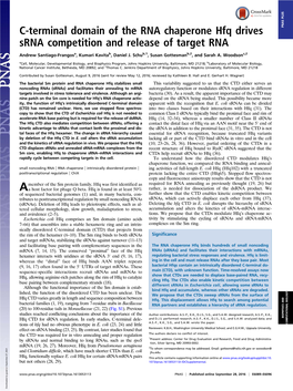 C-Terminal Domain of the RNA Chaperone Hfq Drives Srna