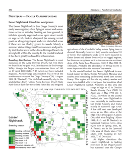 Nightjars — Family Caprimulgidae