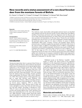 New Records and a Status Assessment of a Rare Dwarf Brocket Deer from the Montane Forests of Bolivia D