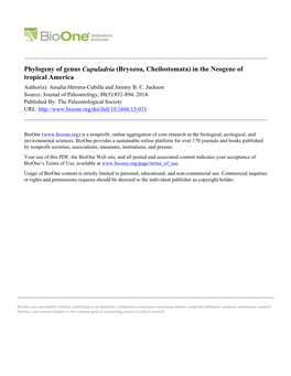 Phylogeny of Genus Cupuladria (Bryozoa, Cheilostomata) in the Neogene of Tropical America Author(S): Amalia Herrera-Cubilla and Jeremy B