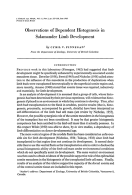 Observations of Dependent Histogenesis in Salamander Limb Development