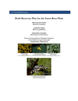 Draft Recovery Plan for the Santa Rosa Plain