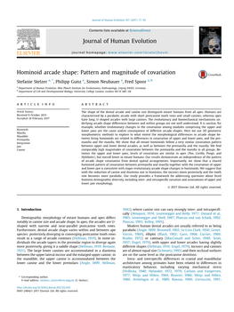 Hominoid Arcade Shape: Pattern and Magnitude of Covariation