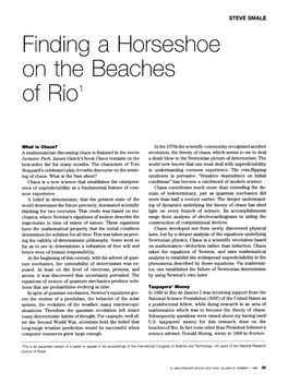 Finding a Horseshoe on the Beaches of Rio1