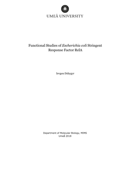 Functional Studies of Escherichia Coli Stringent Response Factor Rela