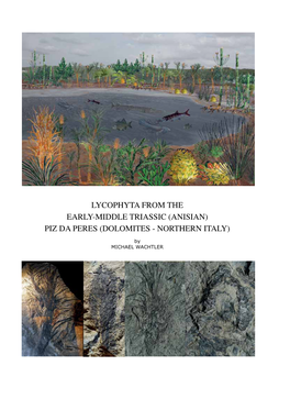 LYCOPHYTA from the EARLY-MIDDLE TRIASSIC (ANISIAN) PIZ DA PERES (DOLOMITES - NORTHERN ITALY) by MICHAEL WACHTLER