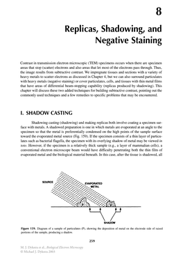 Replicas, Shadowing, and Negative Staining