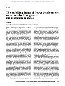 The Unfolding Drama of Flower Development: Recent Results from Genetic and Molecular Analyses