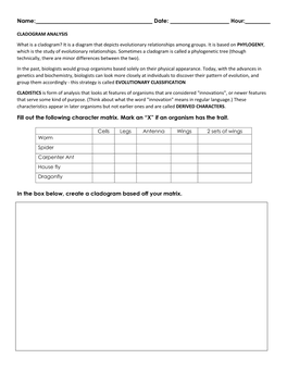 Cladogram Worksheet