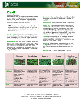 Ocimum Basilicum Cinnamon Sweet Italian Genovese Lemon