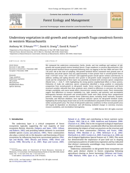 Understory Vegetation in Old-Growth and Second-Growth Tsuga Canadensis Forests in Western Massachusetts