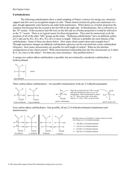 Bio-Organic Game 1