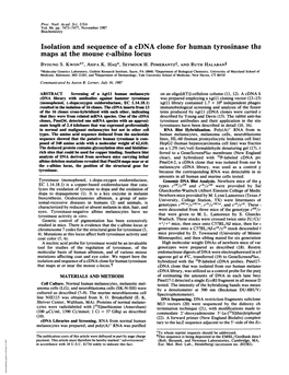 Isolation and Sequence of a Edna Clone for Human Tyrosinase Tha Maps at the Mouse C-Albino Locus BYOUNG S