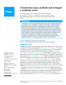 Transfection Types, Methods and Strategies: a Technical Review