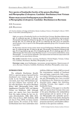 New Species of Bombardier Beetles of the Genera Brachinus and Pheropsophus (Coleoptera: Carabidae: Brachininae) from Vietnam