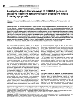 A Caspase-Dependent Cleavage of CDC25A Generates an Active Fragment Activating Cyclin-Dependent Kinase 2 During Apoptosis
