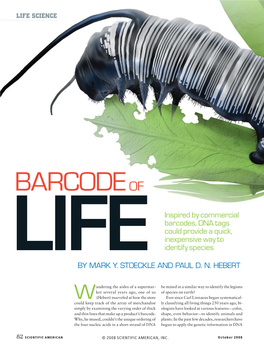 Barcode of Life Data Systems, Or BOLD (Online More Narrowly Specialized —Than Scientists Had At