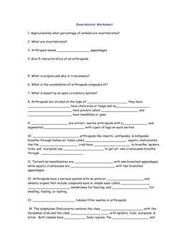 Invertebrate Worksheet