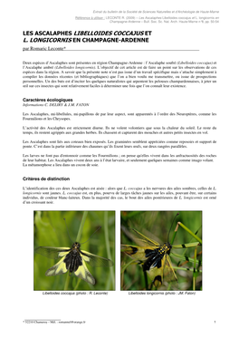Les Ascalaphes Libelloides Coccajus Et L. Longicornis En Champagne-Ardenne – Bull