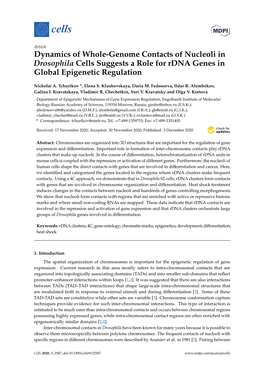 Dynamics of Whole-Genome Contacts of Nucleoli in Drosophila Cells Suggests a Role for Rdna Genes in Global Epigenetic Regulation