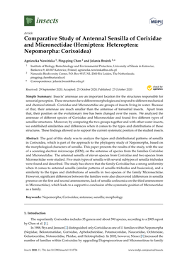 Comparative Study of Antennal Sensilla of Corixidae and Micronectidae (Hemiptera: Heteroptera: Nepomorpha: Corixoidea)