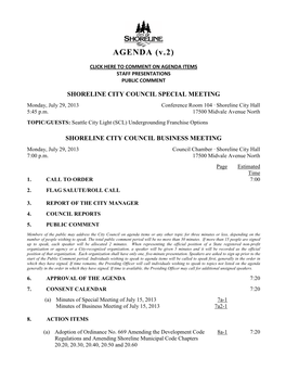 Download the Entire City Council Packet for July 29, 2013